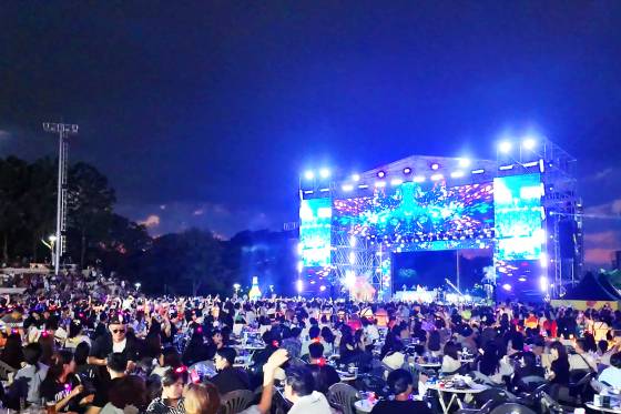 '2024 대구치맥페스티벌'이 대구의 여름밤을 한껏 달궜다. [사진 대구시]
