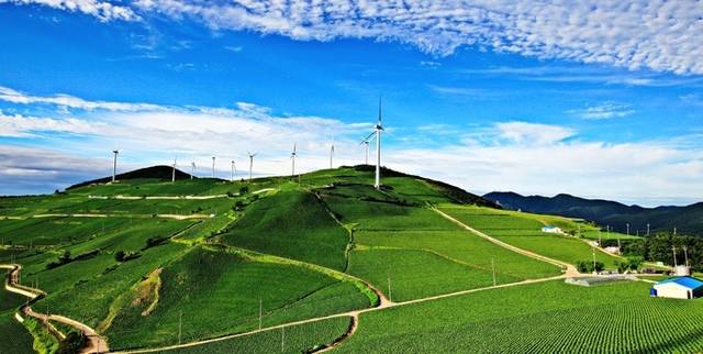 ▲ 강원도와 태백시는 28일 창죽동 매봉산 천상의 숲 산림치유센터에서 유관기관과 단체, 지역주민 등 70여명이 참석한 가운데 ‘매봉산 천상의 숲 개장식’을 갖고, 본격 운영에 들어간다. 바람의 언덕 모습.