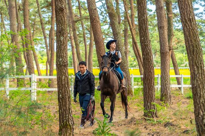 소나무숲과 유채꽃밭도 말을 타고 둘러볼 수 있다. / 사진=한국관광공사