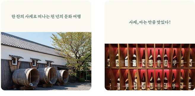 사진 = 리코멘드