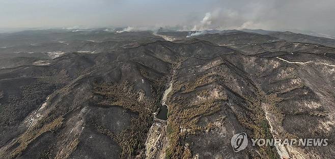 '의성 산불 나흘째' 폐허로 변한 산림 (의성=연합뉴스) 윤관식 기자 = 경북 의성군 산불 발생 나흘째인 25일 산불이 휩쓸고 간 의성군 산림이 폐허가 된 모습을 보이는 가운데 산불이 안동시 쪽으로 번져나가고 있다.
    지난 22일 발생한 의성 산불의 산불영향규모는 현재까지 1만2천565㏊로, 2000년 4월 강원 강릉·동해·삼척·고성 산불(2만3천913ha), 2022년 3월 경북 울진·강원 강릉·동해·삼척 산불(2만523ha)에 이어 국내 산불 피해 규모로는 세 번째로 큰 것으로 파악되고 있다. 2025.3.25 psik@yna.co.kr지휘소