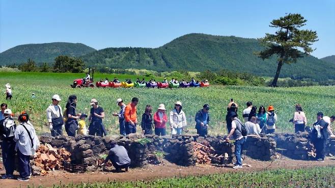 제주도가 가성비 여행지로 자리 잡기 위해 다양한 정책을 추진하는 가운데 급기야 단체 여행객에게 현금 인센티브를 지급하기로 했다. 사진은 지난 4일 오전 제주 서귀포시 표선읍 성읍리 보롬왓 농장에서 열린 '파릇파릇 대파축제'에서 입장객들이 직접 수확한 대파를 장작불에 구워 먹고 있는 모습. 연합뉴스