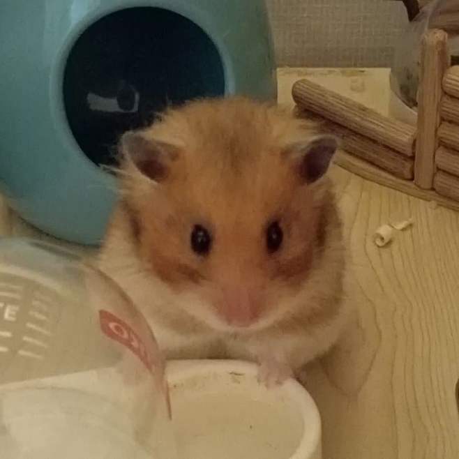 3fb8c32fffd711ab6fb8d38a46f8091a1880cf3d379bc1ea9e57c9578de91d822570896ae189fb80697264b27ce7c647d0