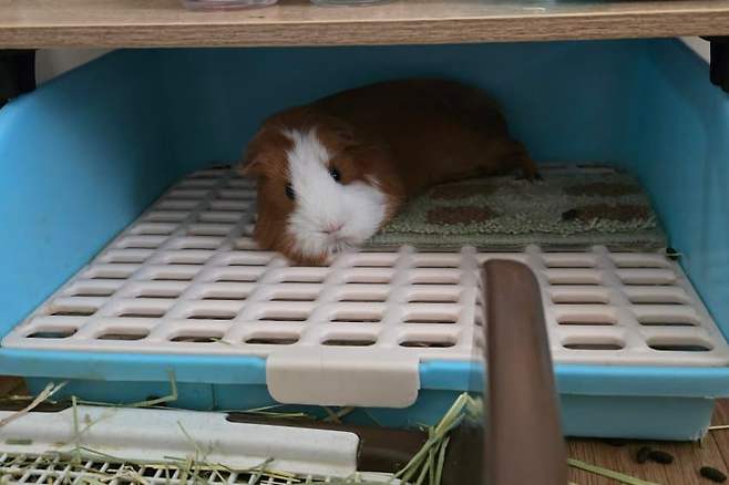 28b9d932da836ff236ed84e74489766849885e8f4a51955e8de74dbb714315d4e5a647