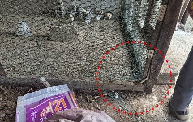 지난 14일 제주시 구좌읍 송당리에 있는 닭장이 들개에 의해 훼손된 모습. 제주도자치경찰단 제공