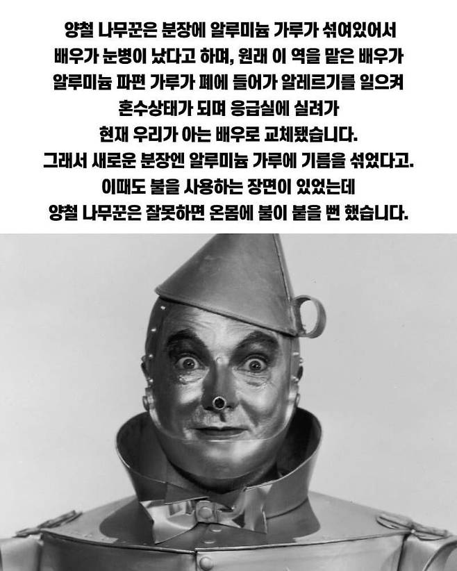 1000016274.jpg 파도파도 괴담만 나오는 오즈의 마법사 영화