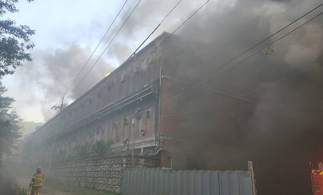 지난 19일 오후 경남 합천군 3층짜리 돼지농장에서 불이 나서 실습 중이던 대학생 1명이 목숨을 잃고, 돼지 1만3천여마리가 죽었다. 경남소방본부 제공