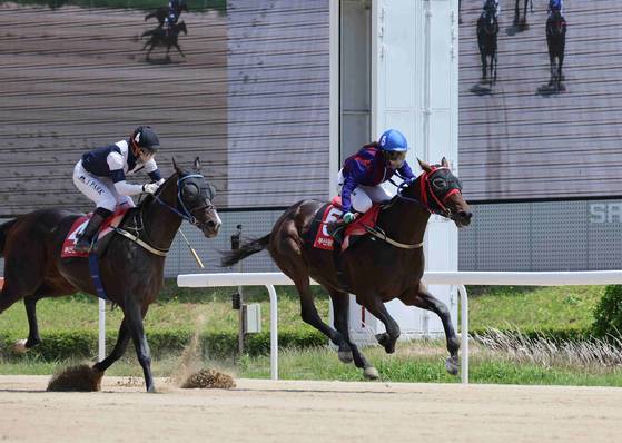 김혜선 기수(36·오른쪽)가 지난 25일 열린 부산광역시장배에서 글로벌히트와 출전해 우승을 거뒀다. 사진 마사회