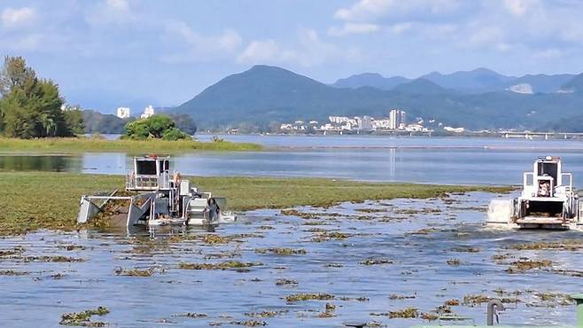 유해수초 제거 작업(사진=경기도 제공) *재판매 및 DB 금지