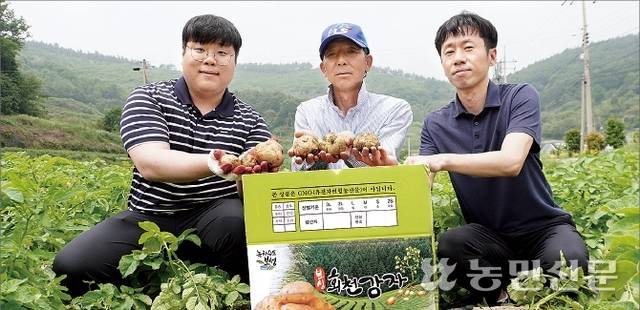 문종규 전남 보성 회천농협 과장(왼쪽부터), 농민 김병욱씨, 신건수 농협경제지주 전남본부 광역연합사업단 과장이 노지봄감자를 들어 보이고 있다.