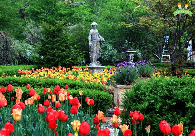 강원 평창 허브나라 전경. 허브나라농원