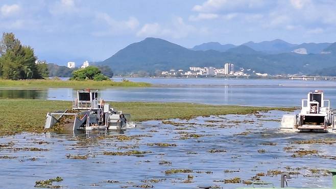 수초 제거 작업 모습 [경기도 제공. 재판매 및 DB 금지]