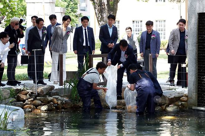 연못에 비단잉어 등 방류하는 모습 [충북도 제공. 재판매 및 DB 금지]