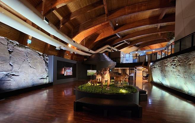 울산암각화박물관 상설 전시 모습  [울산암각화박물관 제공. 재판매 및 DB 금지]