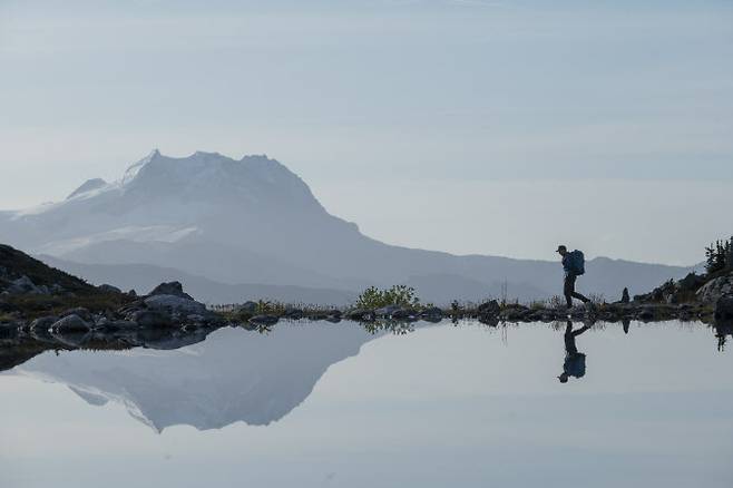 (사진=게티이미지뱅크)