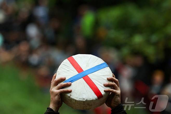 26일(현지시간) 영국 브록웍스의 쿠퍼스 힐에서 열린 '구르는 치즈 잡기' 대회에서 우승자가 치즈 바퀴를 들고 포즈를 취하고 있다. ⓒ 로이터=뉴스1
