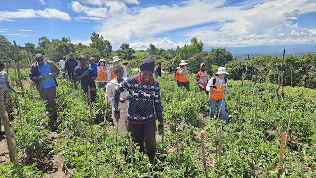 은다바시 주민들이 월드비전의 도움을 받아 토마토 밭으로 개량한 농지를 한국 월드비전 팀이 주민들과 함께 돌아보고 있다.