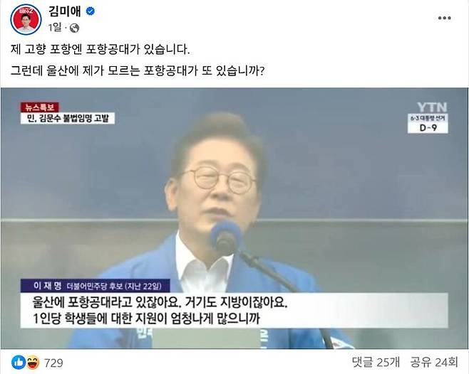 (사진=김미애 의원 페이스북 캡처) *재판매 및 DB 금지