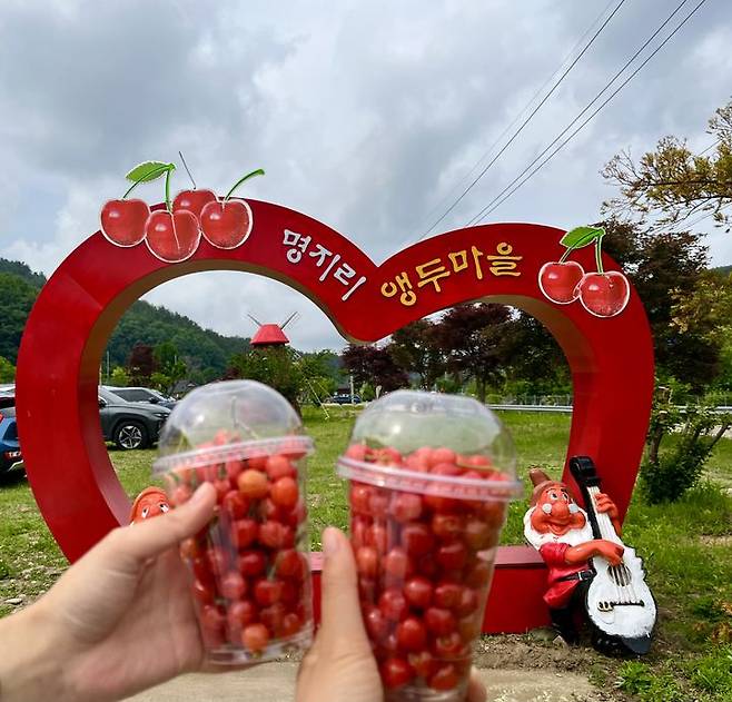 [양양=뉴시스] 양양 명지리 앵두사랑 앵두축제장에 마련된 포토존.(사진=양양군 제공)photo@newsis.com *재판매 및 DB 금지