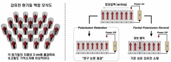 단국대 조병기 교수 연구팀이 개발한 강유전 원기둥 액정 모식도. 단국대 제공