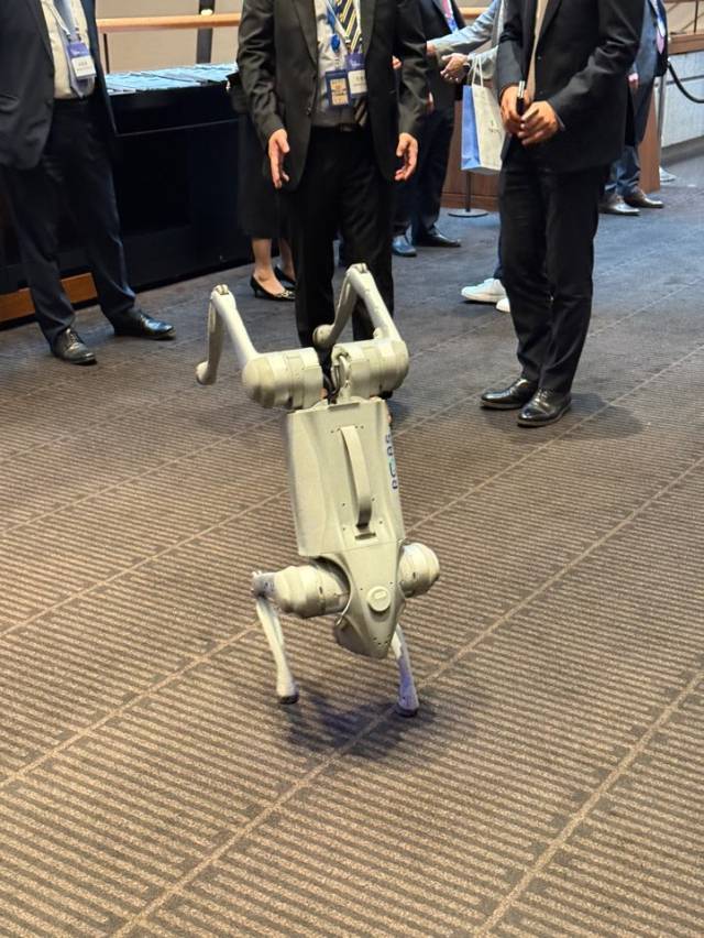 유니트리의 사족 보행 로봇 Go2의 물구나무 서기 동작 /천민아 기자