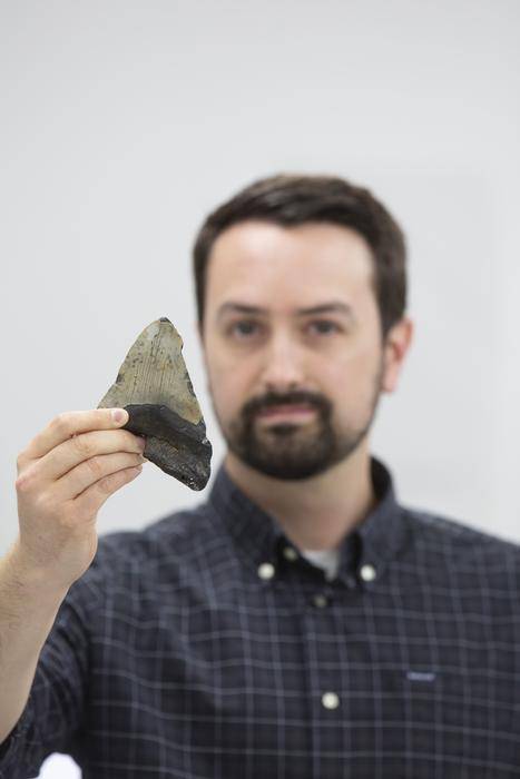 메갈로돈 이빨 화석과 제러미 매코맥 박사 [Uwe Dettmar for Goethe University 제공. 재판매 및 DB 금지]