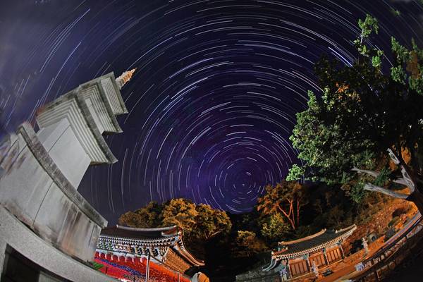 양평 쉬자파크는 용문산 자락 해발 약 500m에 달하는 삿갓봉과 두리봉 사이, 양평읍 비호고개 인근 산속에 자리잡은 숲속공원이자 쉼터다. 야간에는 인공 조명이 적고 주변 산림이 광공해를 차단해 별빛 관측에도 유리한 환경이 조성된다. 용문산 일대에서 촬영된 밤 하늘 별의 일주. /양평군 제공