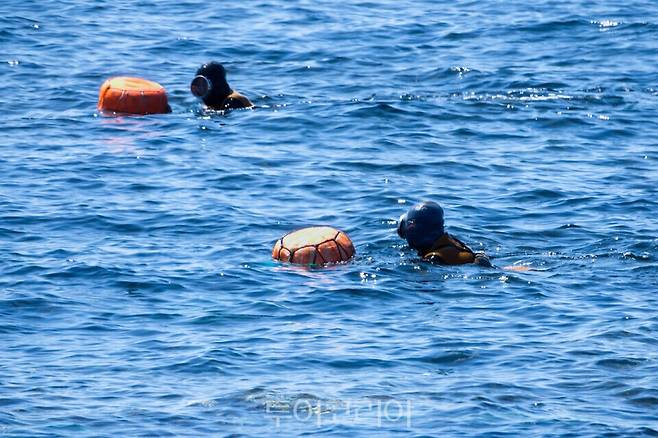 호텔 더 보타닉 세운 명동 ' 요시고 사진전' 제주신화월드의 해녀와 바당 패키지