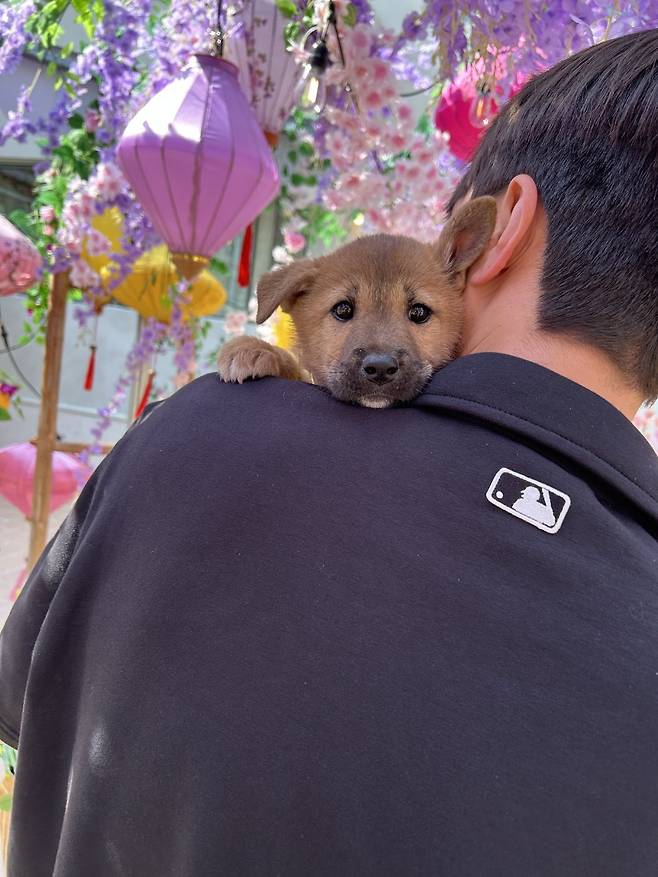 1748215326771.jpg 밭지키는 감자 성장일기