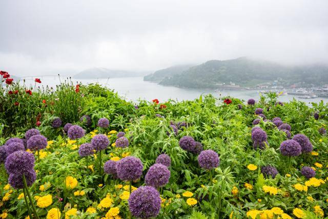 전남 고흥군 쑥섬 공중정원 뒤로 나로도가 보이고 있다.