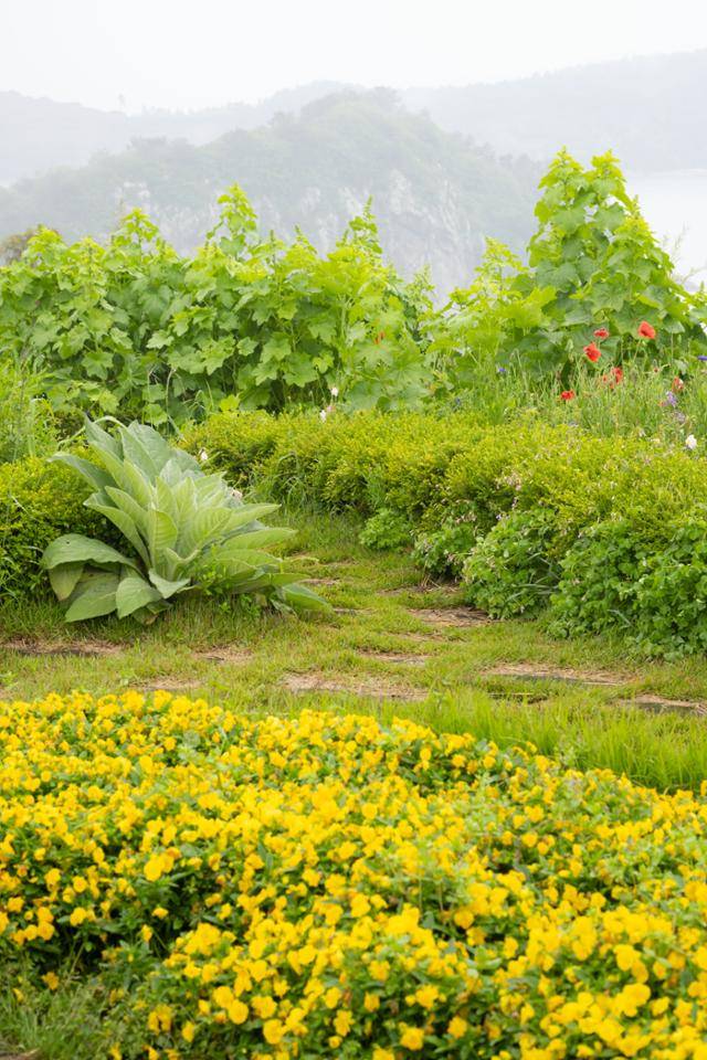 쑥섬의 공중정원 뒤로 쑥섬과 방파제로 연결된 무인도가 보인다.