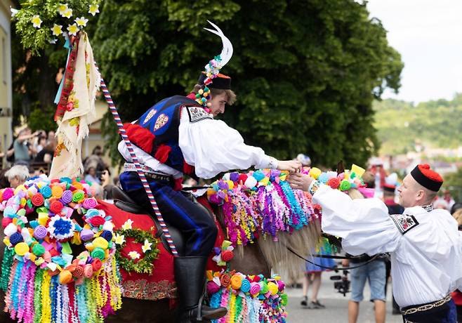 동유럽 낭만을 품은 나라 체코에서 전통 민속축제 '왕들의 탈 것'이 진행됐다. 사진은 지난 25일(현지시각) 체코 블츠노프에서 진행된 전통 민속 축제 '왕들의 탈것'에서 현지 의상을 입은 관람객이 말을 타고 있는 모습. /사진=로이터