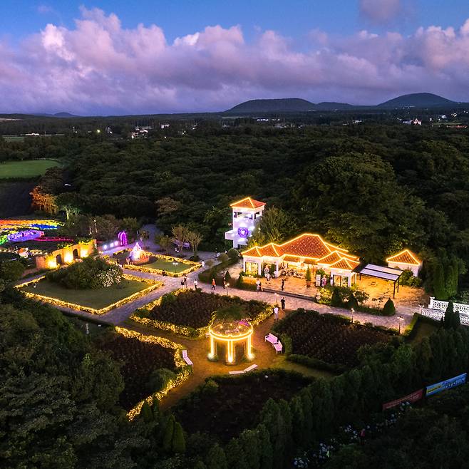 에코랜드 라벤더역