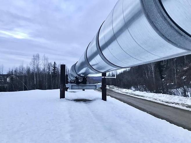 2023년 5월 5일 알래스카 델타 정션 근처에서 알래스카 산맥을 지나가는 알래스카 횡단 파이프라인 시스템 일부 모습 [게티이미지뱅크]