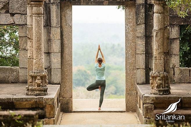스리랑카 요가