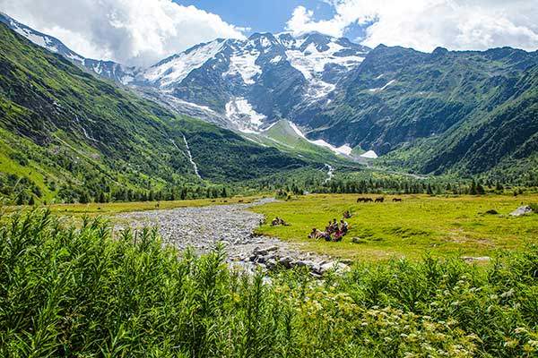 돔드미아지Dom de miage(3,673m)봉 아래 넓게 펼쳐진 초원, 겨울이 지나 눈 녹은 자리는 새로운 생명들 차지다.