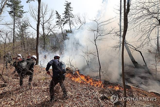 산불과 사투 벌이는 공무원들 [연합뉴스 자료사진]