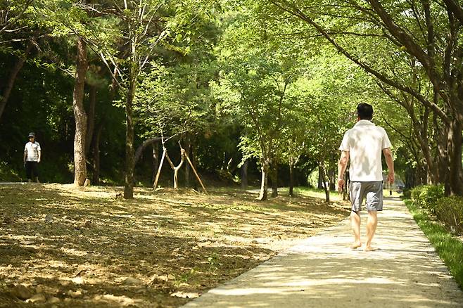 달성군 구지면 창리공원에 새롭게 조성된 맨발산책로. 총 400m 길이의 황토 마사토 길 이 도심 속 힐링 공간으로 주목받고 있다. <달성군 제공>