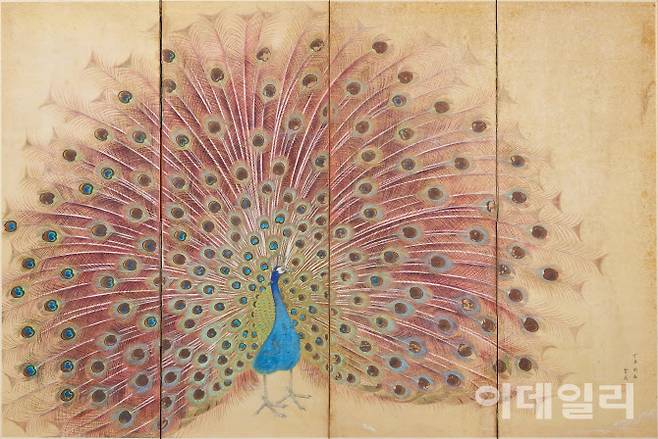 정찬영의 ‘공작’(1937). 꽃이나 풀, 새를 주요 소재로 삼아 세필로 섬세하게 그려냈던 작가가 유독 눈길·붓길을 자주 내준 대상은 ‘공작’이었다. 2m를 훌쩍훌쩍 넘기는 화면에 깃털 하나하나까지 공을 들여 묘사했다. 1909년 일제가 조선의 궁궐인 창경궁에 동물원·식물원을 들이고 유원지로 개조·개명한 ‘창경원’은 아이러니하게도 당시 작가가 유일하게 공작을 눈앞에서 볼 수 있는 장소였다. 한 달 이상 관찰하고 사생한 뒤 4폭 병풍으로 제작한 이 작품은 1937년 ‘제16회 조선미술전람회’에서 수상한 작가의 마지막 입선작이 됐다. 지난 5월 1일 국립현대미술관 과천에서 개막한 ‘MMCA 과천 상설전: 한국근현대미술Ⅰ’에 걸렸다. 비단에 색, 154×232.4㎝(4폭 병풍). 국립현대미술관 소장.