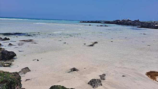 7fe88073b787072cb75f5d50e3826a37eb18f61df8ef208794e4b46e3d7f63