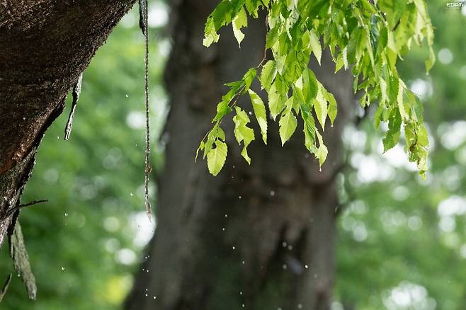 아이유 네버엔딩스토리 뮤비촬영 비하인드 사진jpg