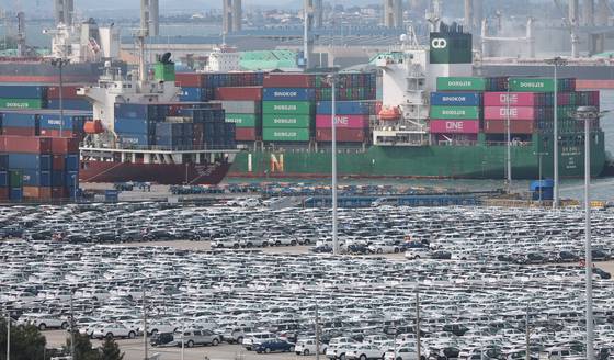 5월 20일 경기 평택시 포승읍 평택항 자동차전용부두에 수출용 차량들이 세워져 있다. 뉴스1