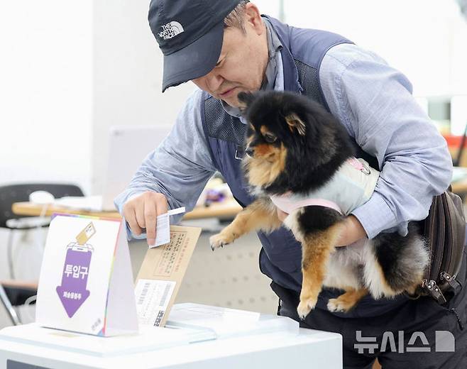 [서울=뉴시스] 김진아 기자 = 제21대 대통령선거 사전투표가 시작된 29일 서울 중구 중림동주민센터에 마련된 사전투표소에서 한 유권자가 강아지와 투표를 하고 있다. 2025.05.29. bluesoda@newsis.com