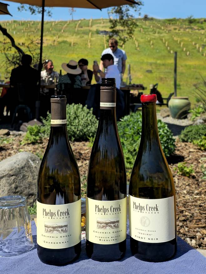 펠프스 크릭 빈야즈 대표 와인.