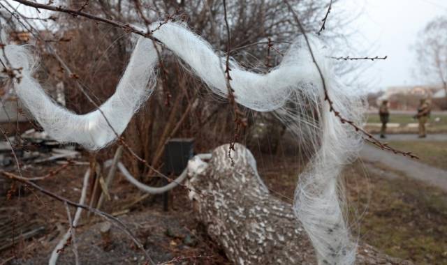 러시아 쿠르스크주 수자군 외곽의 나무에 걸려 있는 광케이블 뭉치 모습. 연합뉴스