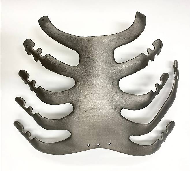 SLM 공정 기술로 제작한 인공 흉부 뼈  [한국생산기술연구원 제공. 재판매 및 DB 금지]