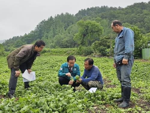 피해 농경지 찾은 김문수 군수(왼쪽에서 두번째) [단양군 제공. 재판매 및 DB 금지]