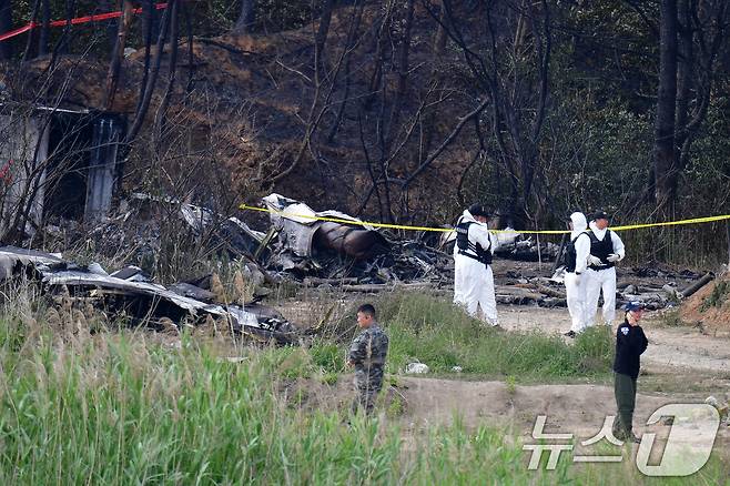군 항공사고 조사관들이 30일 오전 경북 포항시 남구 동해면 야산에 추락한 해군 대잠 해상초계기 사고 현장 조사를 진행하고 있다. 2025.5.30/뉴스1 ⓒ News1 최창호 기자
