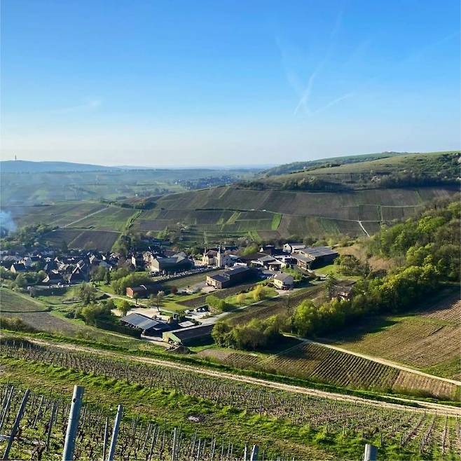 샤비뇰(Chavignol)에 위치한 앙리 부르주아의 와이너리 전경.