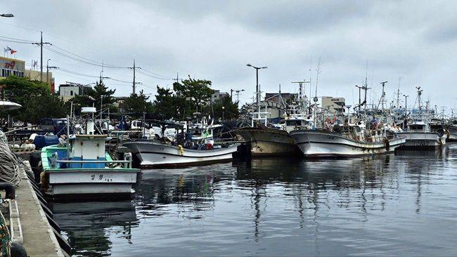 경북 포항시 구룡포항에 어선들이 정박해 있다. 지역 어민들에 따르면 상당수 어민들이 최근에는 경제적 이유로 출항을 전혀 하지 않는다고 한다. ⓒ데일리안 장정욱 기자